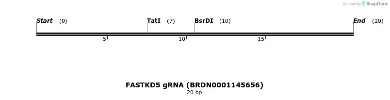 145082_map