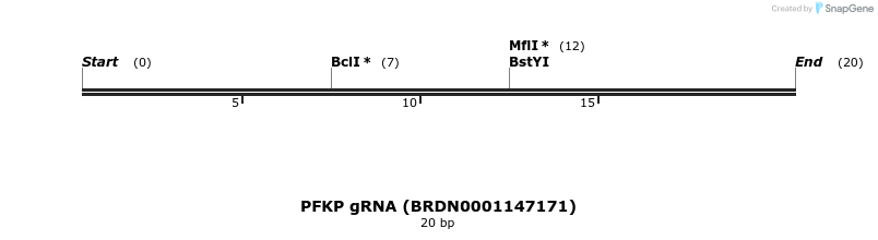 145088_map