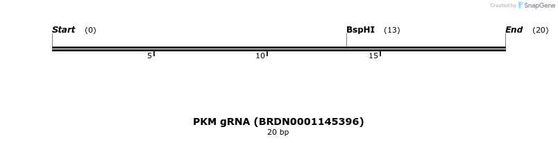 145093_map