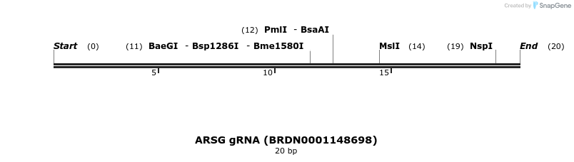 145102_map