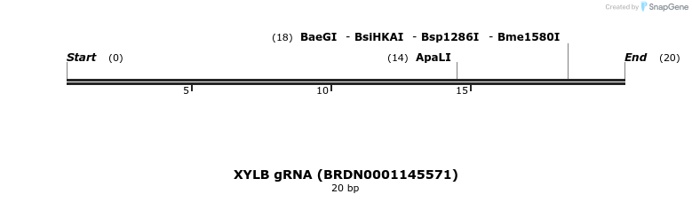 145106_map
