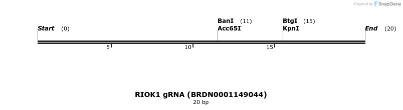 145118_map