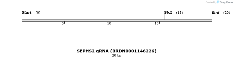 145122_map