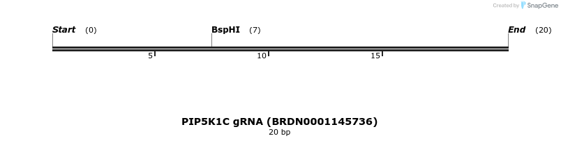 145126_map