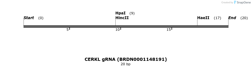145135_map