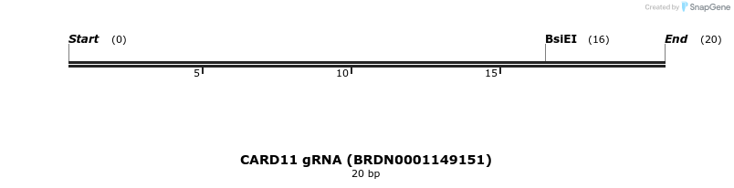 145139_map