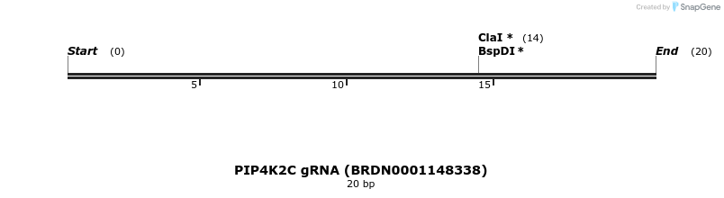 145141_map