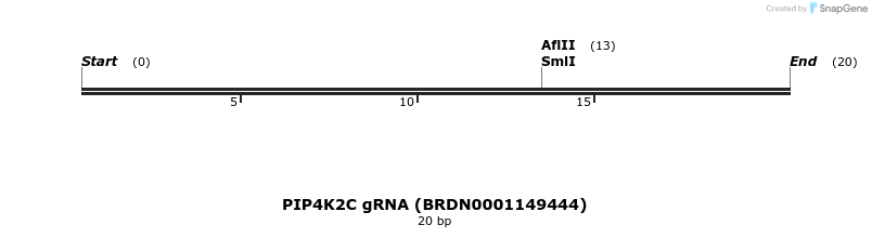 145142_map