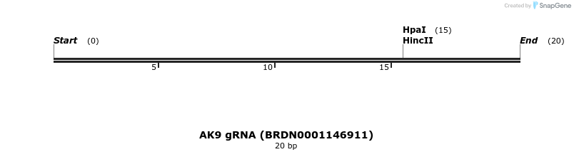 145149_map
