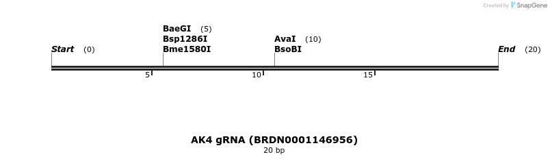 145155_map