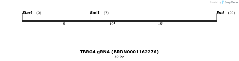 145163_map