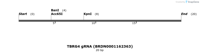 145164_map