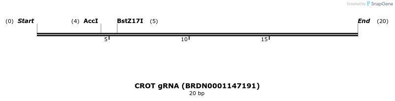145166_map