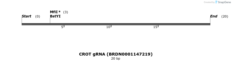 145167_map