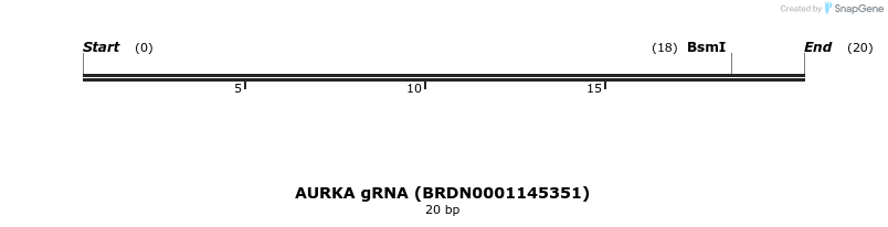 145188_map