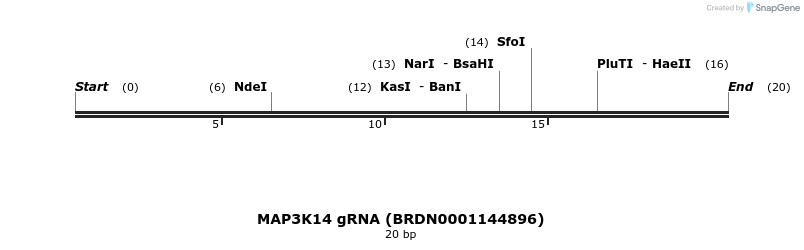 145197_map