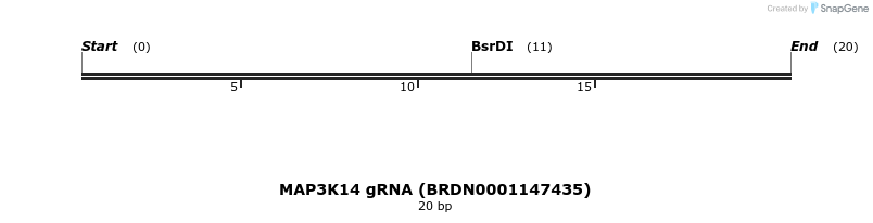 145198_map