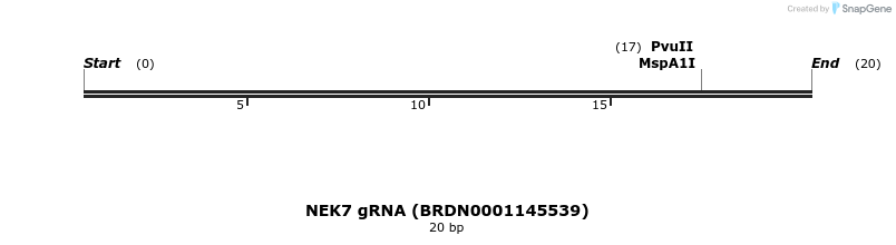 145199_map