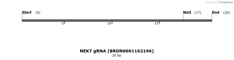 145200_map
