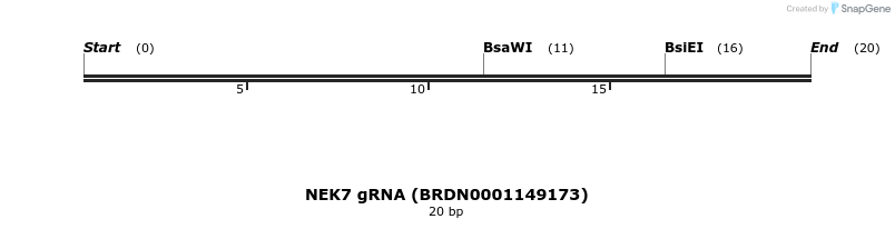 145201_map