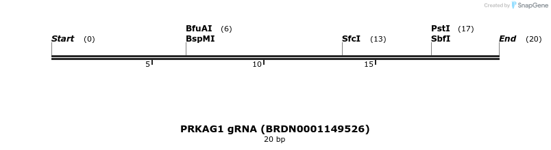 145206_map