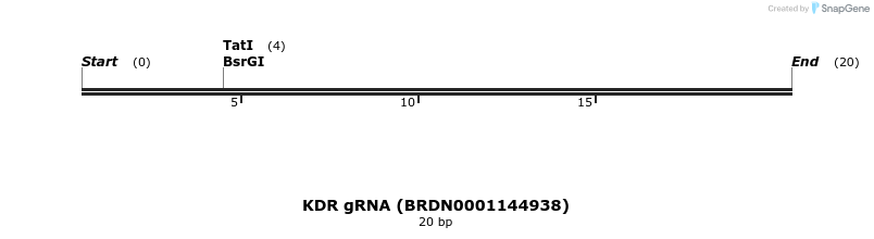 145217_map