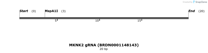 145224_map