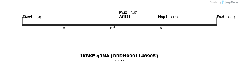145229_map
