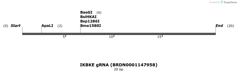 145230_map