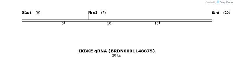 145231_map
