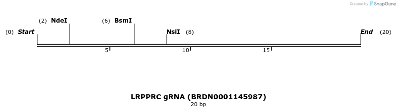 145233_map