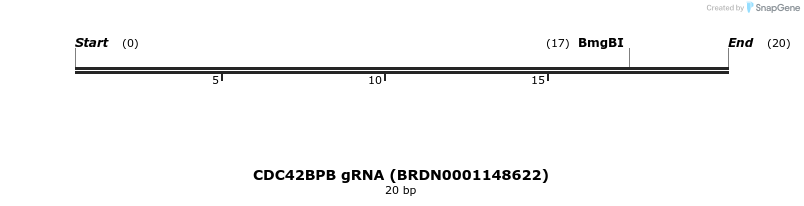 145236_map