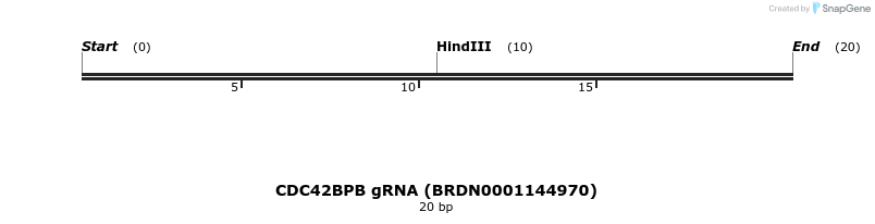 145238_map