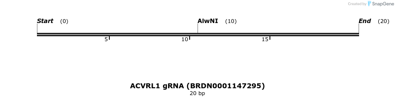 145240_map
