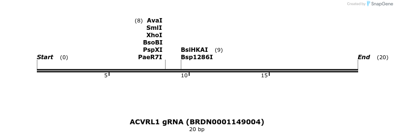 145241_map