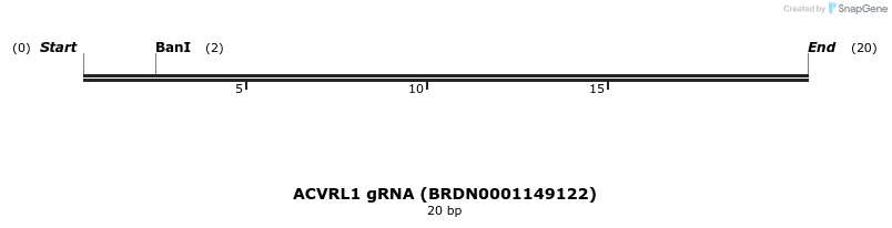 145242_map