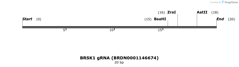 145245_map
