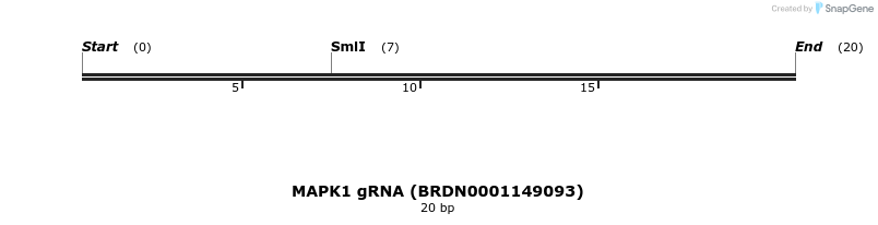 145248_map
