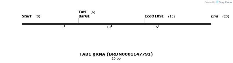 145252_map