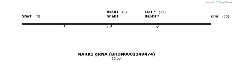 145253_map