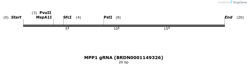 145264_map