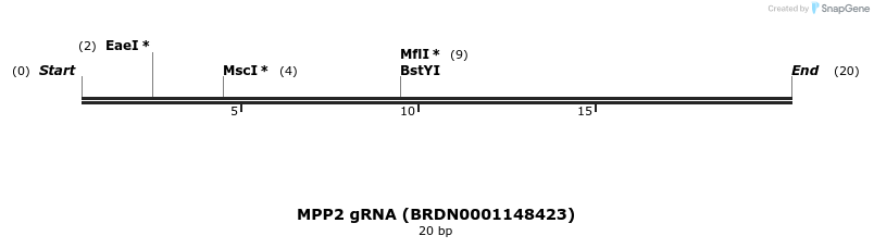 145267_map