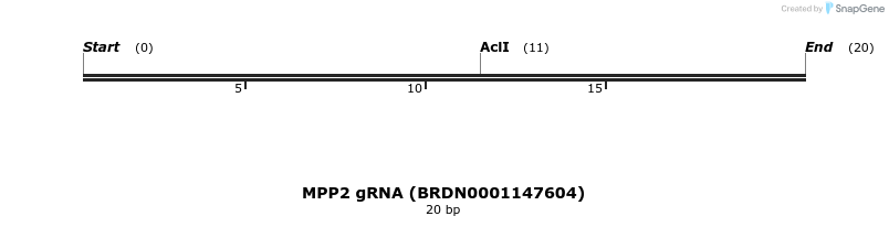 145268_map