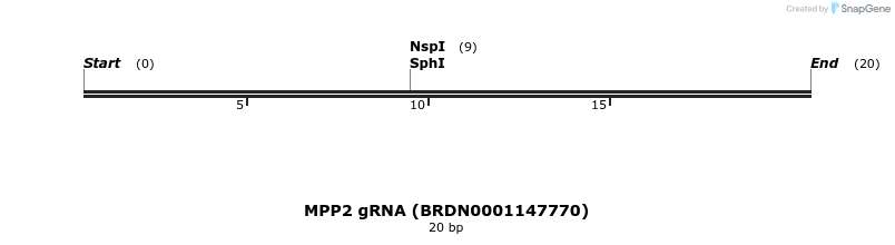 145269_map