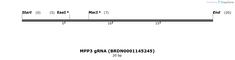 145270_map