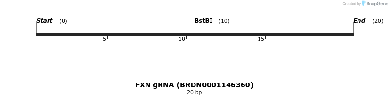 145275_map