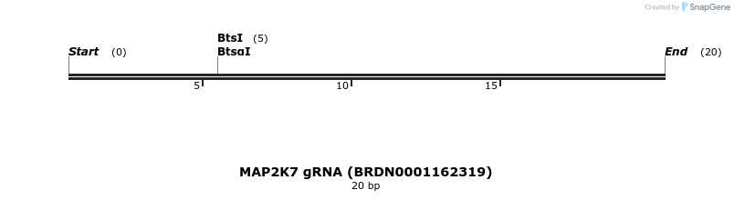 145281_map