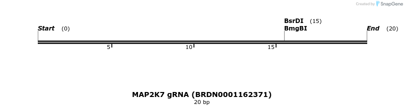 145283_map