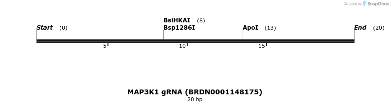 145286_map
