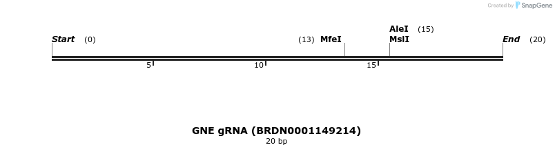 145291_map